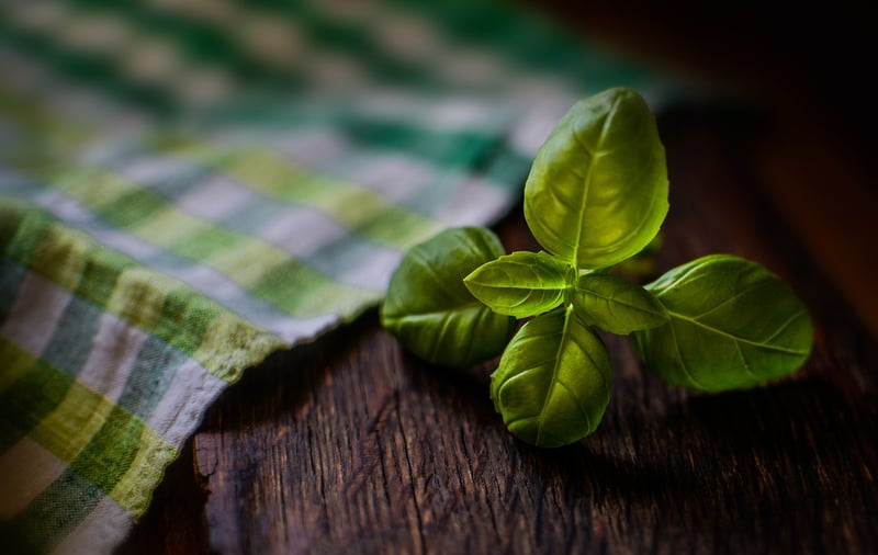 Herb Garden Kits