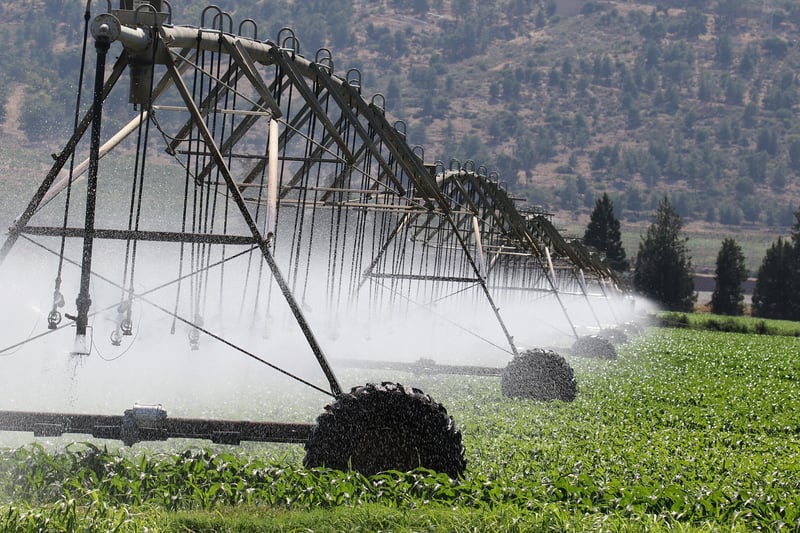 Smart Irrigation