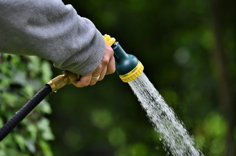 Garden Hose