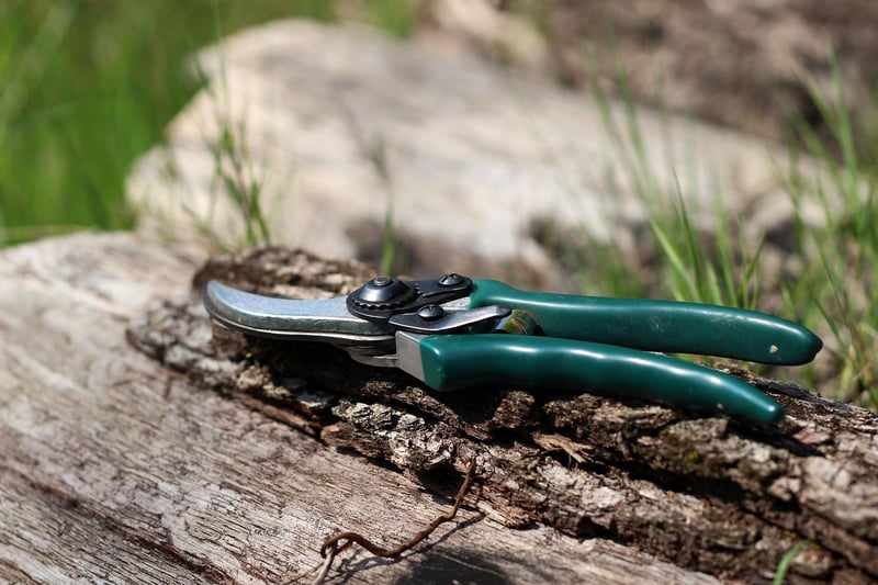 Garden Shears